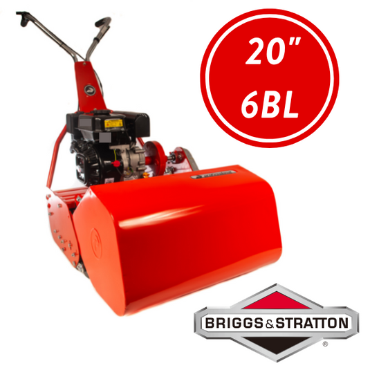 20" Briggs & Stratton 750 Series 6 Blade