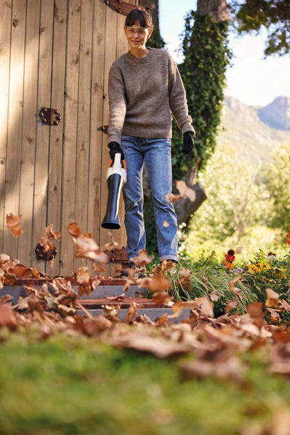 BGA 30.0 SET Cordless Blower
