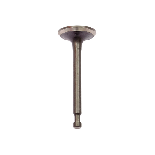212cc Horizontal Valve Kit 500550041-0001