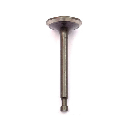 196cc Valve Kit - 500550029-0001